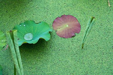 竞速游戏《狂野泊车》在2023年即将驶入PlayStation®及Nintendo Switch™